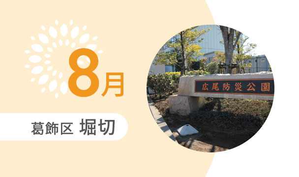 8月の外出カレンダー（葛飾区堀切）