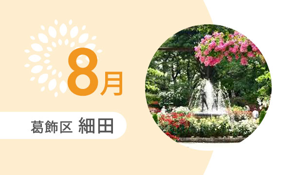 8月の外出カレンダー（葛飾区細田）