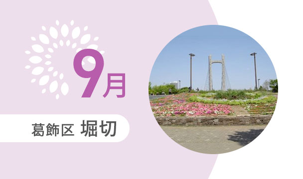 9月の外出カレンダー（葛飾区堀切）