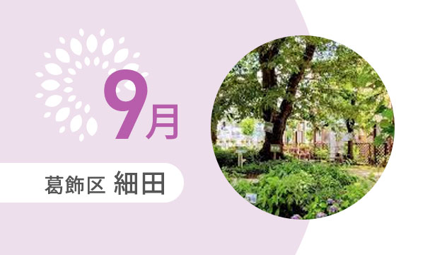 9月の外出カレンダー（葛飾区細田）