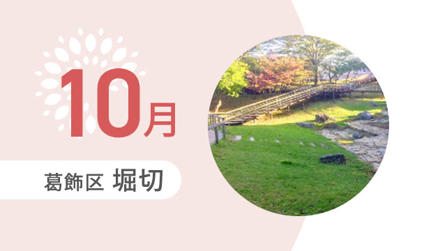 10月の外出カレンダー（葛飾区堀切）