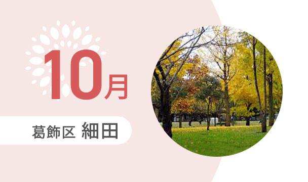 10月の外出カレンダー（葛飾区細田）