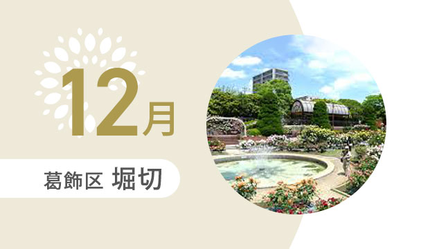 12月の外出カレンダー（葛飾区堀切）