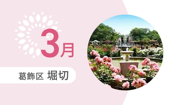 3月の外出カレンダー（葛飾区堀切）