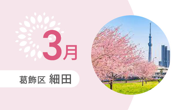 3月の外出カレンダー（葛飾区細田）