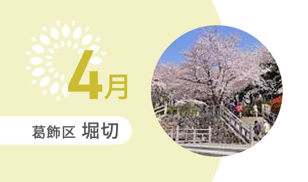 4月の外出カレンダー（葛飾区堀切）