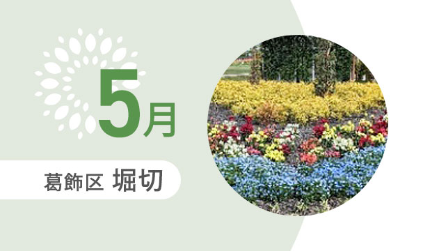 5月の外出カレンダー（葛飾区堀切）