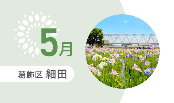 5月の外出カレンダー（葛飾区細田）