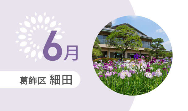 6月の外出カレンダー（葛飾区細田）