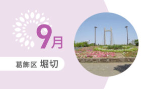 堀切9月イメージ