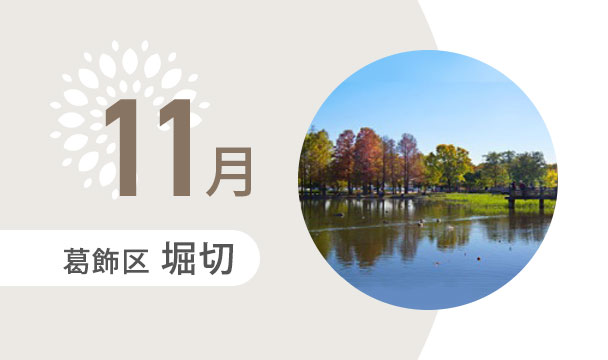 11月の外出カレンダー（葛飾区堀切）